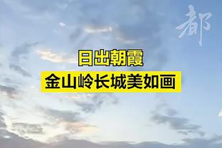 费迪南德批评阿森纳庆祝：我还以为他们夺冠了，主教练在绕场跑圈